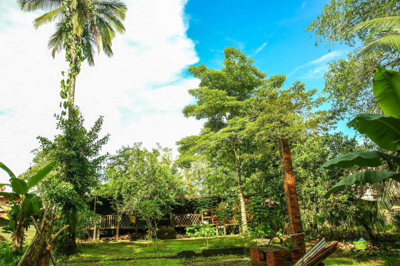 Tapir Lodge Santa Rita  Exteriör bild